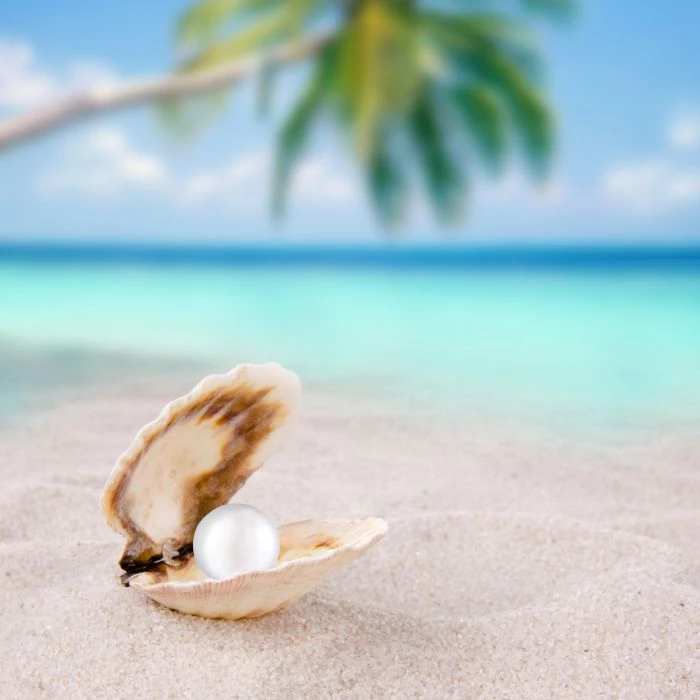 Beach shells and pearls